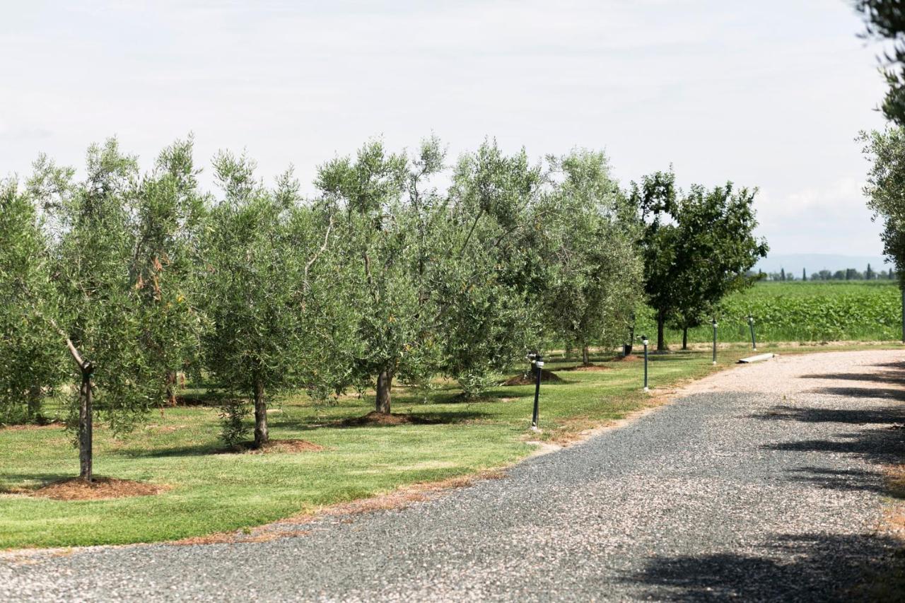 Agriturismo Valdo Grosseto Extérieur photo