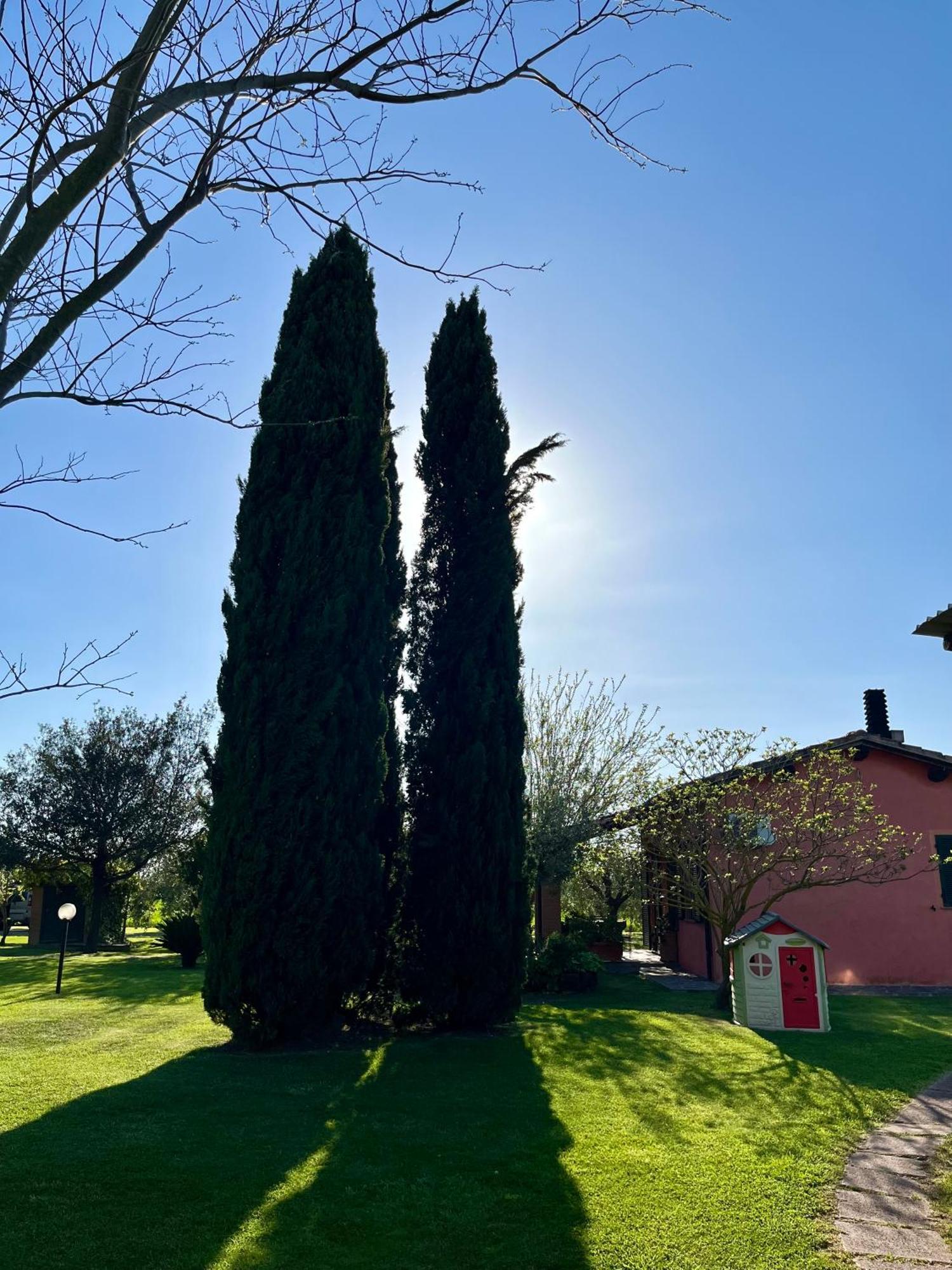 Agriturismo Valdo Grosseto Extérieur photo