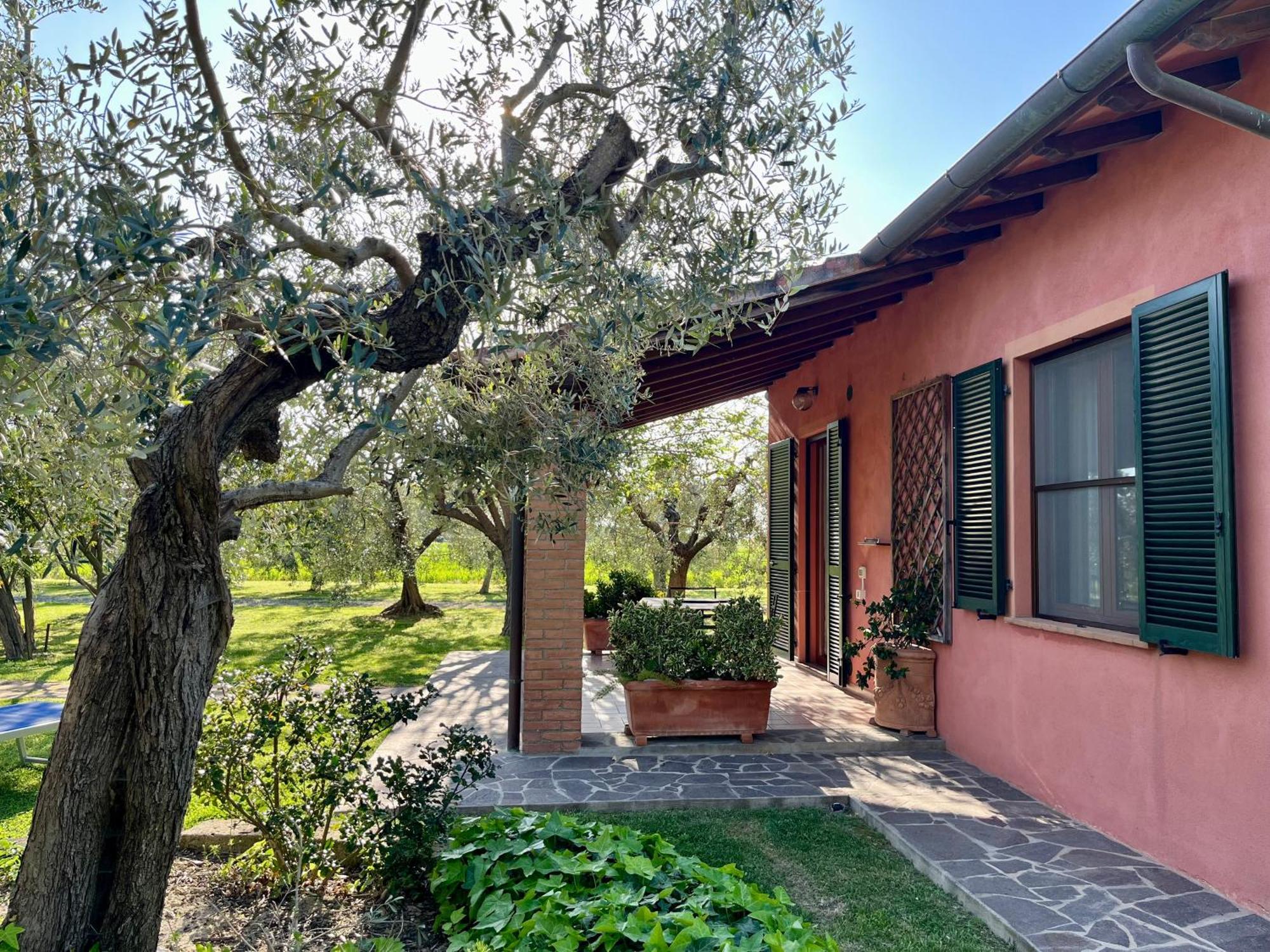 Agriturismo Valdo Grosseto Extérieur photo