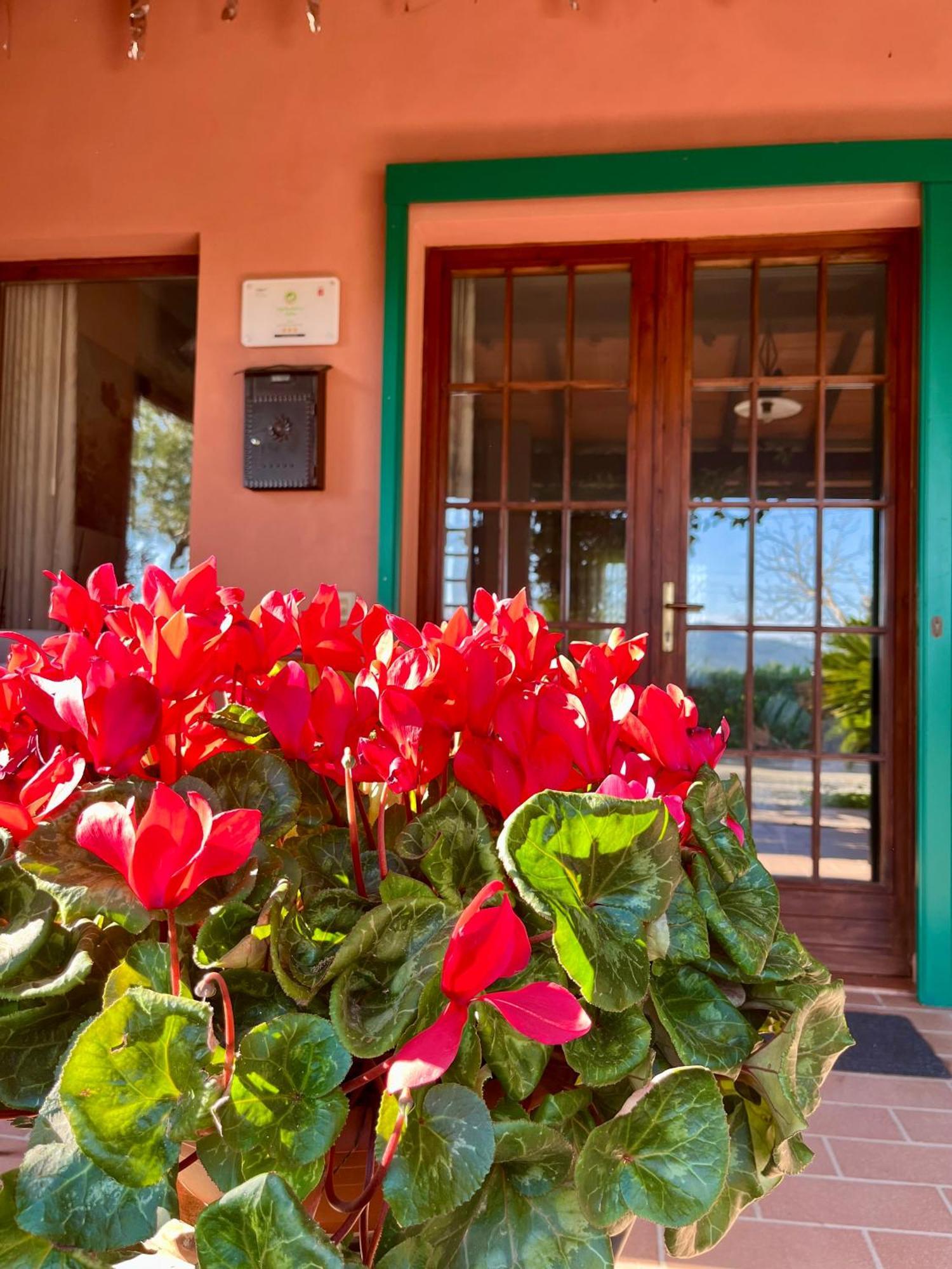 Agriturismo Valdo Grosseto Extérieur photo