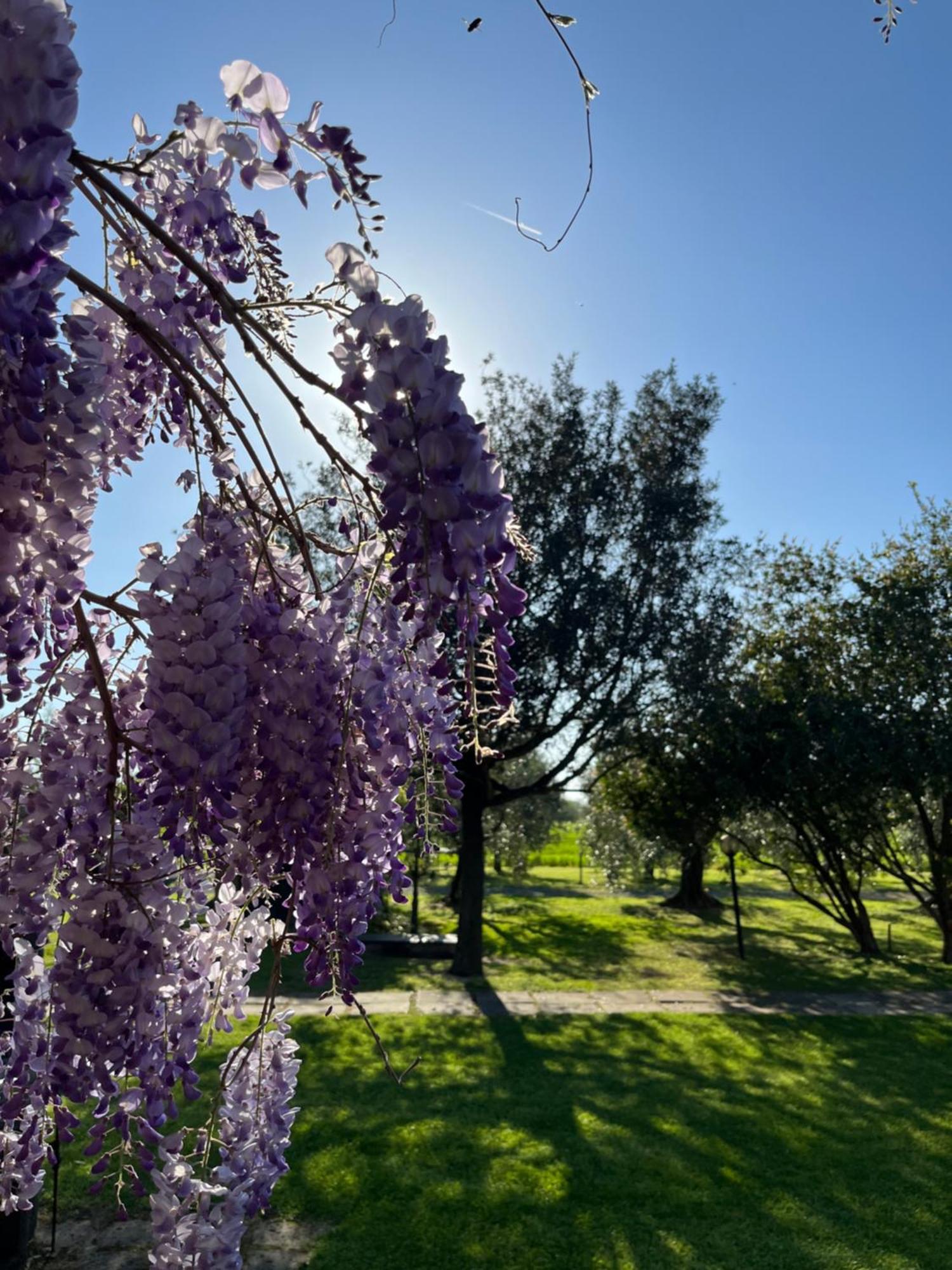 Agriturismo Valdo Grosseto Extérieur photo