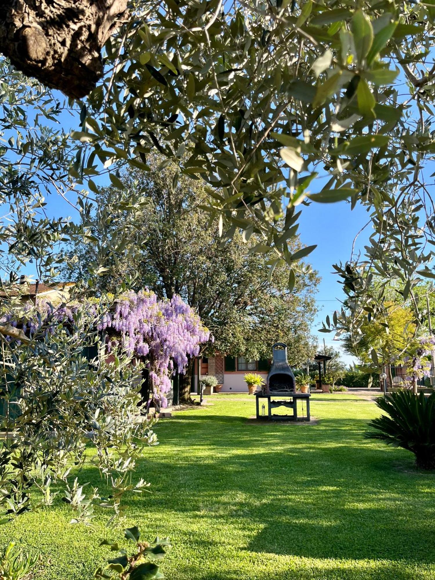 Agriturismo Valdo Grosseto Extérieur photo
